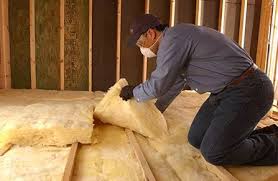 Best Insulation Removal  in Kearney, MO